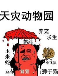 天灾保险公司赔偿吗